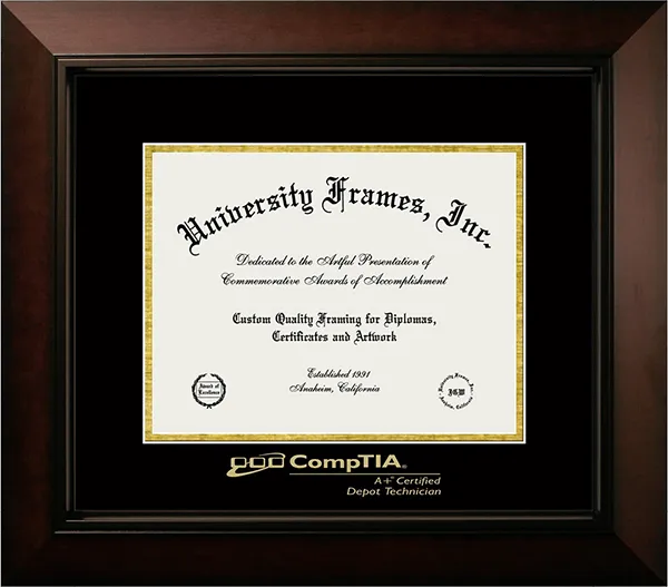 Professional Credential Frames