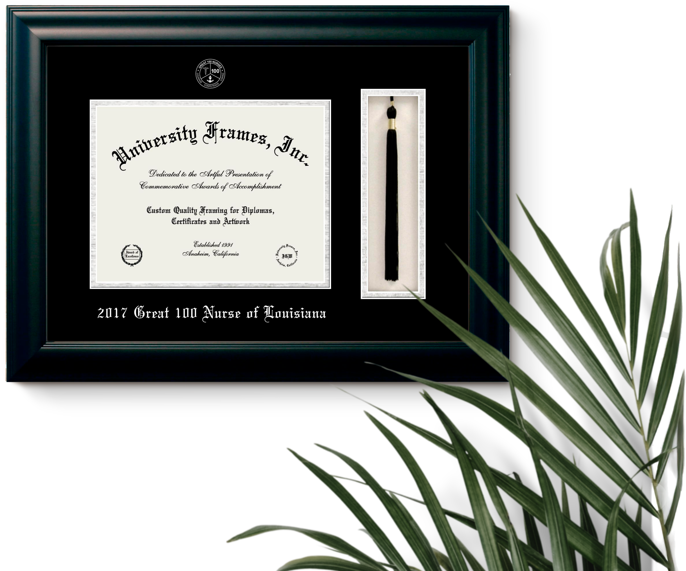 Certificate Frame
