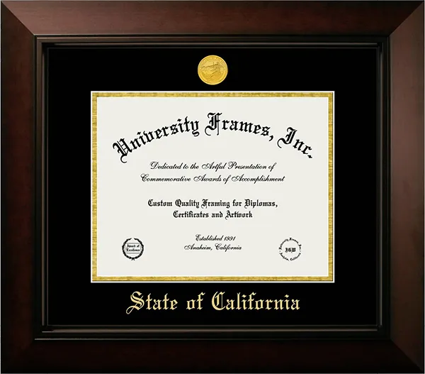 State Recognition Frames