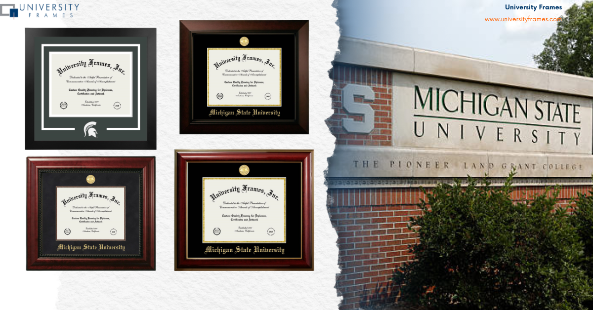 Top 5 Diploma Frames for MSU Grads | Shop Now