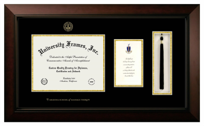 Arizona School of Massage Therapy Diploma with Announcement & Tassel Box Frame in Legacy Black Cherry with Black & Gold Mats for document: 8 1/2"h x 11"w  , diploma: 7"h x 4"w  