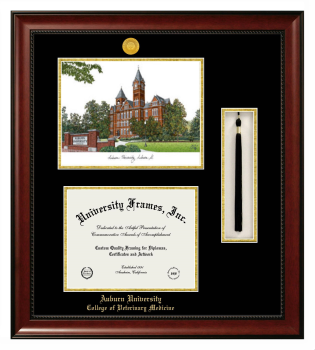 Auburn University College of Veterinary Medicine Double Opening with Campus Image & Tassel Box (Stacked) Frame in Avalon Mahogany with Black & Gold Mats for document: 8 1/2"h x 11"w  