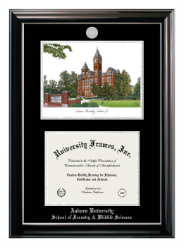 Auburn University School of Forestry & Wildlife Sciences Double Opening with Campus Image (Stacked) Frame in Classic Ebony with Silver Trim with Black & Silver Mats for document: 8 1/2"h x 11"w  