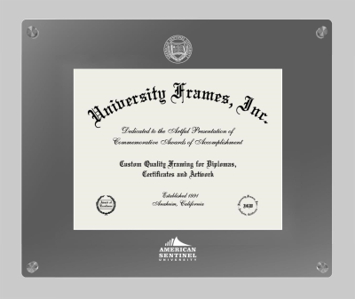 American Sentinel University Lucent Clear-over-Smoke Frame in Lucent Smoke Moulding with Lucent Smoke Mat for document: 8 1/2"h x 11"w  