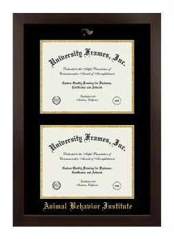 Animal Behavior Institute Double Diploma Frame in Manhattan Espresso with Black & Gold Mats for document: 8 1/2"h x 11"w  , document: 8 1/2"h x 11"w  