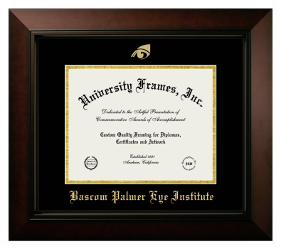 Bascom Palmer Eye Institute Diploma Frame in Legacy Black Cherry with Black & Gold Mats for document: 8 1/2"h x 11"w  