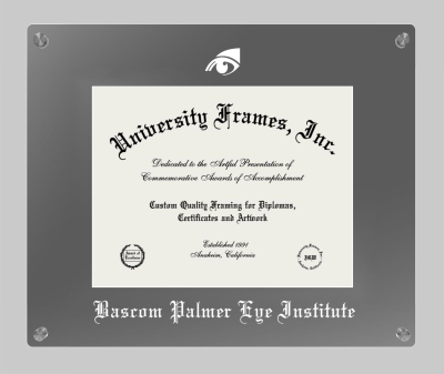 Bascom Palmer Eye Institute Lucent Clear-over-Smoke Frame in Lucent Smoke Moulding with Lucent Smoke Mat for document: 8 1/2"h x 11"w  