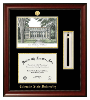 Colorado State University Double Opening with Campus Image & Tassel Box (Stacked) Frame in Avalon Mahogany with Black & Gold Mats for document: 8 1/2"h x 11"w  
