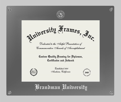 Brandman University Lucent Clear-over-Smoke Frame in Lucent Smoke Moulding with Lucent Smoke Mat for document: 11"h x 14"w  