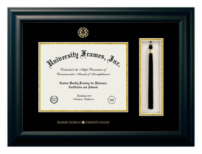 Delaware Technical Community College Diploma with Tassel Box Frame in Satin Black with Black & Gold Mats for document: 8 1/2"h x 11"w  