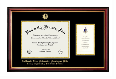 California State University, Dominguez Hills College of Natural & Behavioral Sciences Diploma with Announcement Frame in Petite Mahogany with Gold Trim with Black & Gold Mats for document: 8 1/2"h x 11"w  , diploma: 7"h x 4"w  