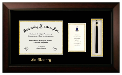 In Memory Diploma with Announcement & Tassel Box Frame in Legacy Black Cherry with Black & Gold Mats for document: 8 1/2"h x 11"w  , diploma: 7"h x 4"w  