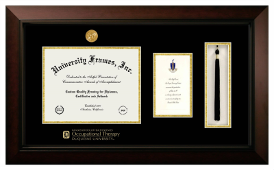 Duquesne University Rangos School of Health Sciences Occupational Therapy Diploma with Announcement & Tassel Box Frame in Legacy Black Cherry with Black & Gold Mats for document: 8 1/2"h x 11"w  , diploma: 7"h x 4"w  