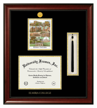 Elmira College Double Opening with Campus Image & Tassel Box (Stacked) Frame in Avalon Mahogany with Black & Gold Mats for document: 8 1/2"h x 11"w  