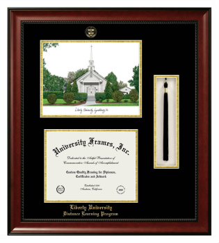 Liberty University Distance Learning Program Double Opening with Campus Image & Tassel Box (Stacked) Frame in Avalon Mahogany with Black & Gold Mats for document: 8 1/2"h x 11"w  