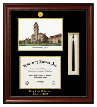 Utah State University College of HASS Double Opening with Campus Image & Tassel Box (Stacked) Frame in Avalon Mahogany with Black & Gold Mats for document: 8 1/2"h x 11"w  