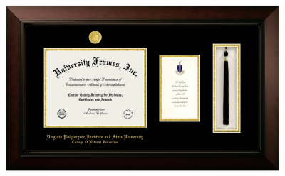 Virginia Polytechnic Institute and State University College of Natural Resources Diploma with Announcement & Tassel Box Frame in Legacy Black Cherry with Black & Gold Mats for document: 8 1/2"h x 11"w  , diploma: 7"h x 4"w  