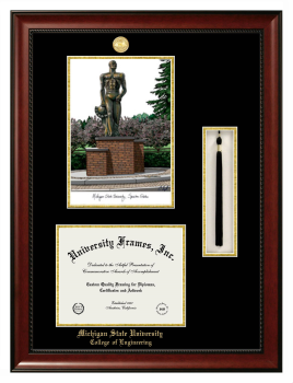 Michigan State University College of Engineering Double Opening with Campus Image & Tassel Box (Stacked) Frame in Avalon Mahogany with Black & Gold Mats for document: 8 1/2"h x 11"w  
