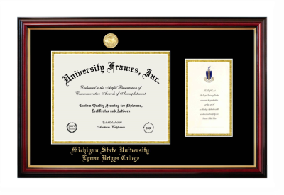 Michigan State University Lyman Briggs College Diploma with Announcement Frame in Petite Mahogany with Gold Trim with Black & Gold Mats for document: 8 1/2"h x 11"w  , diploma: 7"h x 4"w  