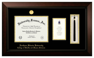 Northern Illinois University College of Health and Human Sciences Diploma with Announcement & Tassel Box Frame in Legacy Black Cherry with Black & Gold Mats for document: 8 1/2"h x 11"w  , diploma: 7"h x 4"w  
