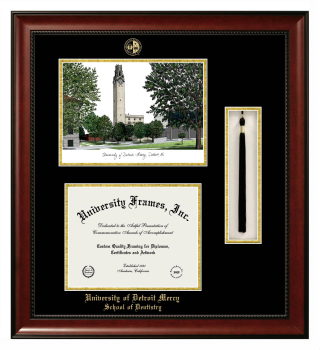 University of Detroit Mercy School of Dentistry Double Opening with Campus Image & Tassel Box (Stacked) Frame in Avalon Mahogany with Black & Gold Mats for document: 8 1/2"h x 11"w  