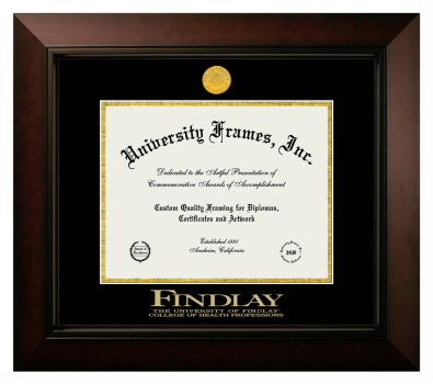 University of Findlay College of Health Professions Diploma Frame in Legacy Black Cherry with Black & Gold Mats for document: 8 1/2"h x 11"w  
