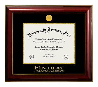 University of Findlay College of Health Professions Diploma Frame in Classic Mahogany with Gold Trim with Black & Gold Mats for document: 8 1/2"h x 11"w  