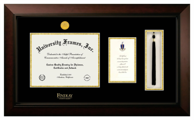 University of Findlay College of Pharmacy Diploma with Announcement & Tassel Box Frame in Legacy Black Cherry with Black & Gold Mats for document: 8 1/2"h x 11"w  , diploma: 7"h x 4"w  