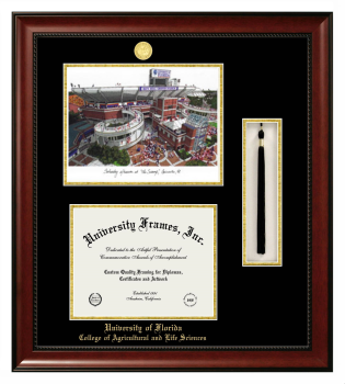 University of Florida College of Agricultural and Life Sciences Double Opening with Campus Image & Tassel Box (Stacked) Frame in Avalon Mahogany with Black & Gold Mats for document: 8 1/2"h x 11"w  