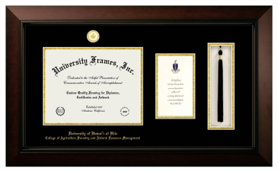 University of Hawai'i at Hilo College of Agriculture Forestry and Natural Resource Management Diploma with Announcement & Tassel Box Frame in Legacy Black Cherry with Black & Gold Mats for document: 8 1/2"h x 11"w  , diploma: 7"h x 4"w  