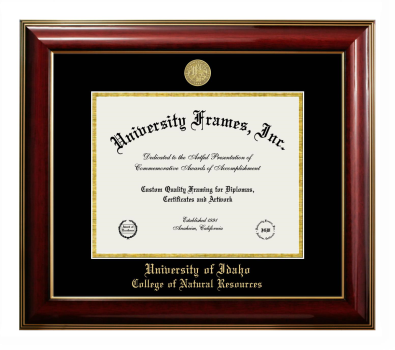 University of Idaho College of Natural Resources Diploma Frame in Classic Mahogany with Gold Trim with Black & Gold Mats for document: 8 1/2"h x 11"w  