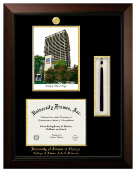University of Illinois at Chicago College of Liberal Arts & Sciences Double Opening with Campus Image & Tassel Box (Stacked) Frame in Legacy Black Cherry with Black & Gold Mats for document: 8 1/2"h x 11"w  