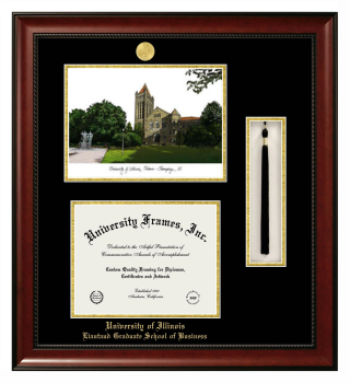 University of Illinois Liautaud Graduate School of Business Double Opening with Campus Image & Tassel Box (Stacked) Frame in Avalon Mahogany with Black & Gold Mats for document: 8 1/2"h x 11"w  