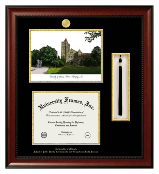 University of Illinois School of Public Health, Environmental and Occupational Health Sciences Double Opening with Campus Image & Tassel Box (Stacked) Frame in Avalon Mahogany with Black & Gold Mats for document: 8 1/2"h x 11"w  