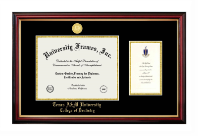 Texas A&M University College of Dentistry Diploma with Announcement Frame in Petite Mahogany with Gold Trim with Black & Gold Mats for document: 8 1/2"h x 11"w  , diploma: 7"h x 4"w  