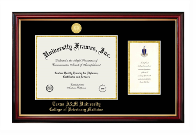 Texas A&M University College of Veterinary Medicine Diploma with Announcement Frame in Petite Mahogany with Gold Trim with Black & Gold Mats for document: 8 1/2"h x 11"w  , diploma: 7"h x 4"w  
