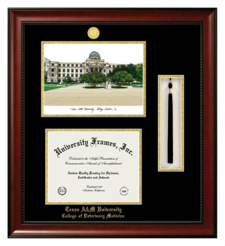 Texas A&M University College of Veterinary Medicine Double Opening with Campus Image & Tassel Box (Stacked) Frame in Avalon Mahogany with Black & Gold Mats for document: 8 1/2"h x 11"w  