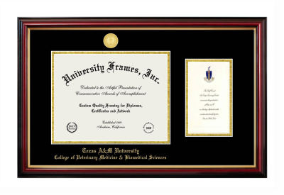 Texas A&M University College of Veterinary Medicine & Biomedical Sciences Diploma with Announcement Frame in Petite Mahogany with Gold Trim with Black & Gold Mats for document: 8 1/2"h x 11"w  , diploma: 7"h x 4"w  