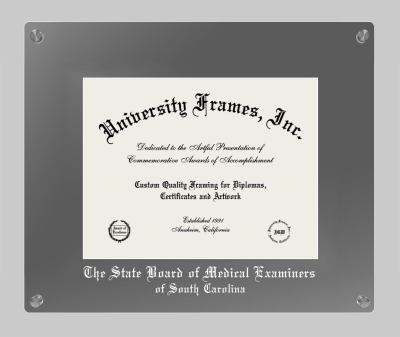 The State Board of Medical Examiners of South Carolina Lucent Clear-over-Smoke Frame in Lucent Smoke Moulding with Lucent Smoke Mat for document: 8 1/2"h x 11"w  