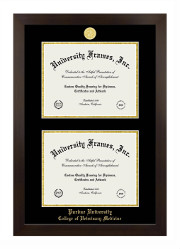 Purdue University College of Veterinary Medicine Double Diploma Frame in Manhattan Espresso with Black & Gold Mats for document: 8 1/2"h x 11"w  , document: 8 1/2"h x 11"w  