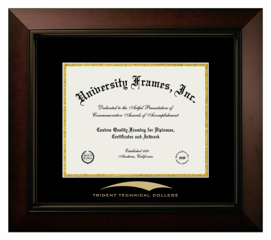 Trident Technical College Diploma Frame in Legacy Black Cherry with Black & Gold Mats for document: 8 1/2"h x 11"w  
