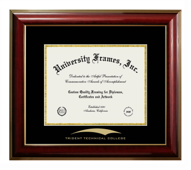 Trident Technical College Diploma Frame in Classic Mahogany with Gold Trim with Black & Gold Mats for document: 8 1/2"h x 11"w  