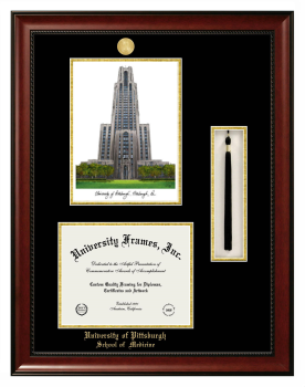 University of Pittsburgh School of  Medicine Double Opening with Campus Image & Tassel Box (Stacked) Frame in Avalon Mahogany with Black & Gold Mats for document: 8 1/2"h x 11"w  