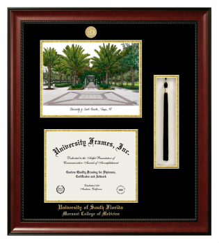 University of South Florida Morsani College of Medicine Double Opening with Campus Image & Tassel Box (Stacked) Frame in Avalon Mahogany with Black & Gold Mats for document: 8 1/2"h x 11"w  