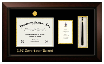 University of Southern California Norris Cancer Hospital Diploma with Announcement & Tassel Box Frame in Legacy Black Cherry with Black & Gold Mats for document: 8 1/2"h x 11"w  , diploma: 7"h x 4"w  