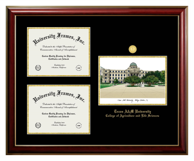 Texas A&M University College of Agriculture and Life Sciences Triple Opening with Campus Image Frame in Classic Mahogany with Gold Trim with Black & Gold Mats for document: 8 1/2"h x 11"w  , document: 8 1/2"h x 11"w  