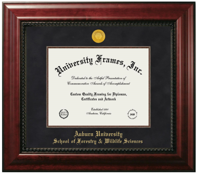Auburn University School of Forestry & Wildlife Sciences Diploma Frame in Executive with Mahogany Fillet with Black Suede Mat for document: 8 1/2"h x 11"w  