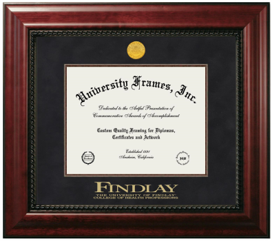University of Findlay College of Health Professions Diploma Frame in Executive with Mahogany Fillet with Black Suede Mat for document: 8 1/2"h x 11"w  