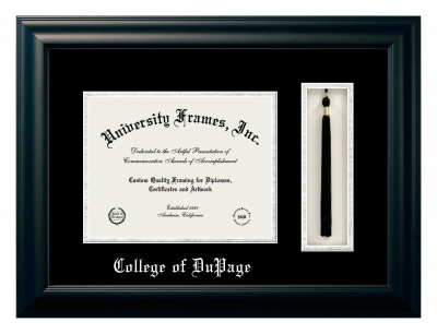 College of DuPage Diploma with Tassel Box Frame in Satin Black with Black & Silver Mats for document: 8 1/2"h x 11"w  