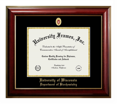 University of Wisconsin (Madison) Department of Biochemistry Diploma Frame in Classic Mahogany with Gold Trim with Black & Gold Mats for document: 8 1/2"h x 11"w  